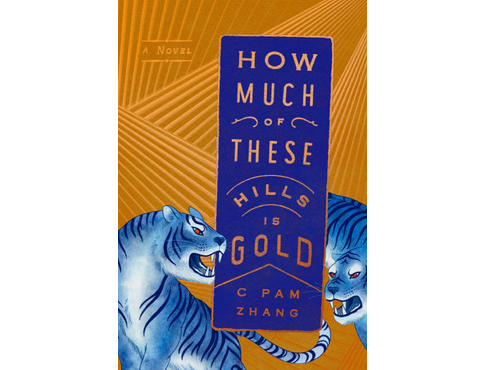 <em>How Much of These Hills Is Gold</em> by C Pam Zhang