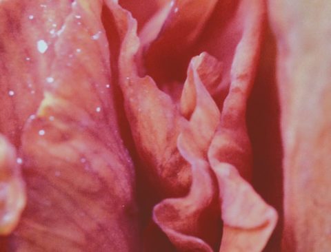 The Best Vibrators for Solo Pleasure and Partner Play