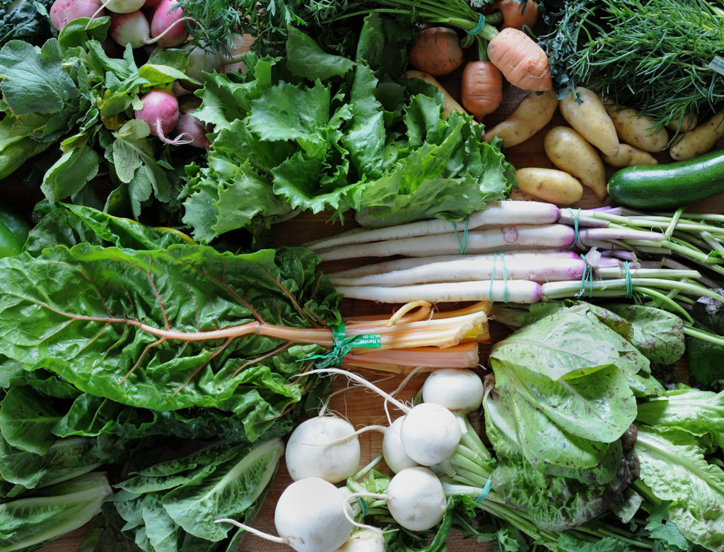 Recipes and Strategies to Make the Most of a CSA Box or Any Vegetable Haul
