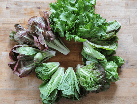 CSA Box Strategies + a Farmhouse Salad - Love and Lemons