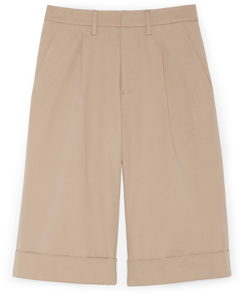 G. Label JUSTIN PLEATED WIDE-LEG SHORTS