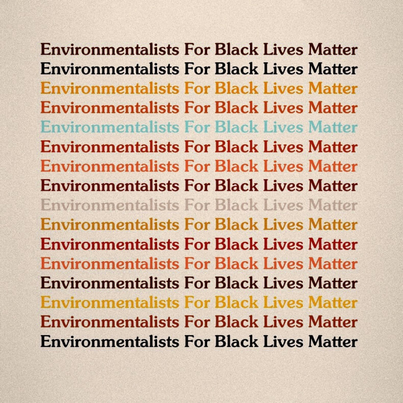 Environmentalists for Black Lives Matter