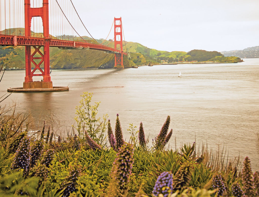 4 Recipes Celebrating California Cuisine