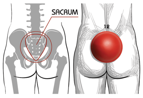 starting pelvic clock position