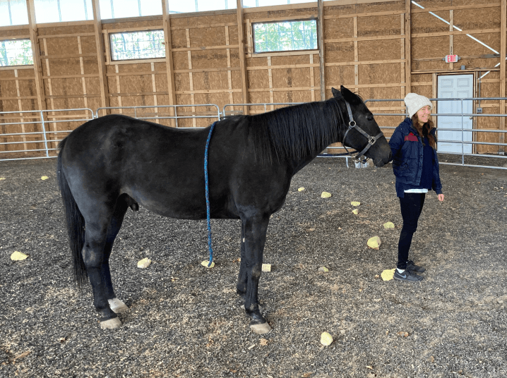 Jean with black horse
