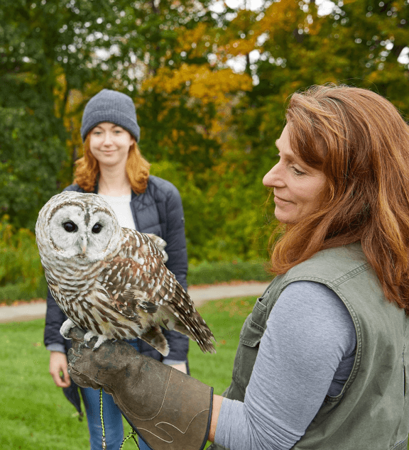 woman holding owl
