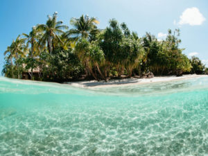 Vitamixes, Floss, and Salt Scrub: Our Desert Island Picks