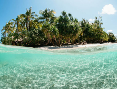 Vitamixes, Floss, and Salt Scrub: Our Desert Island Picks