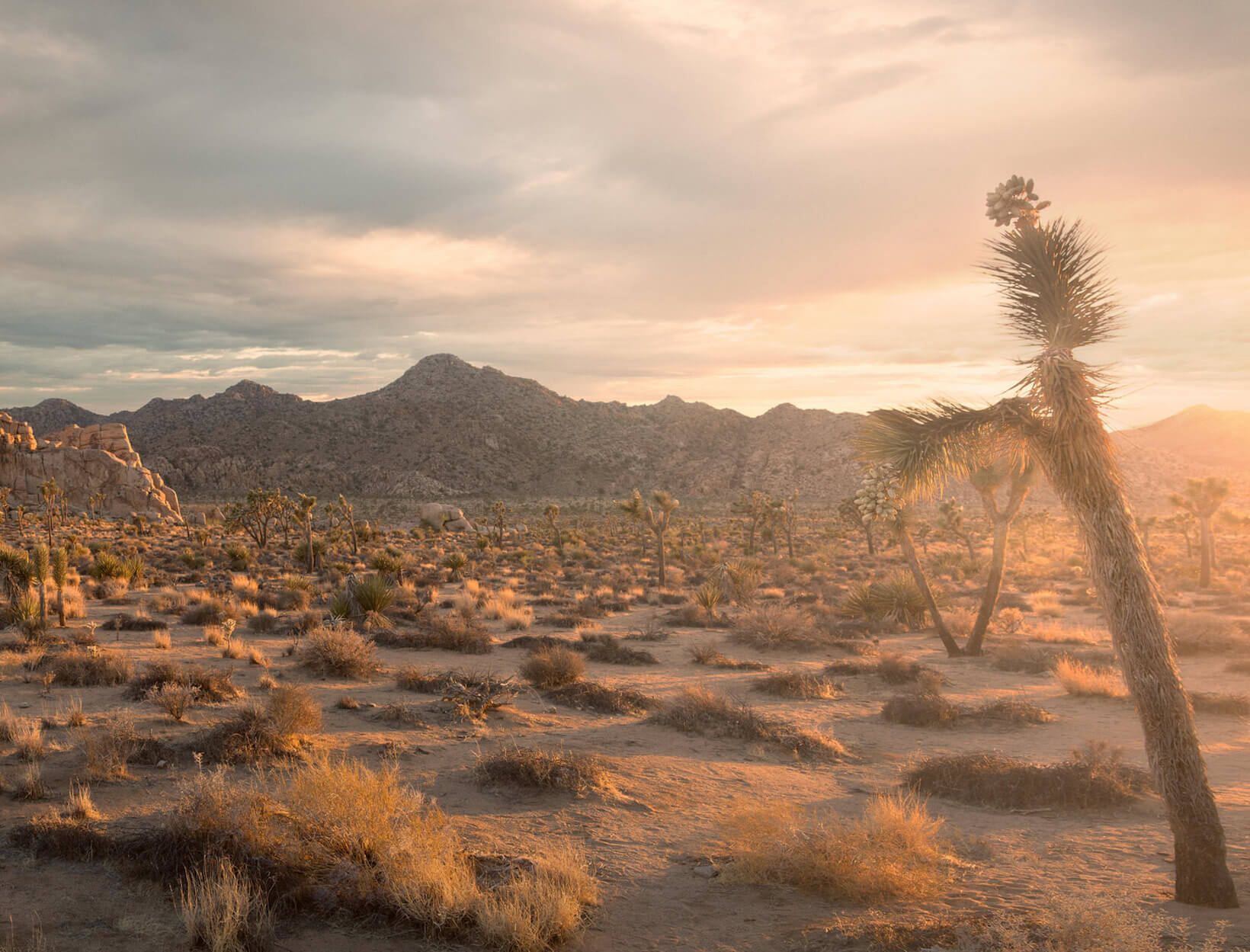 desert sunset