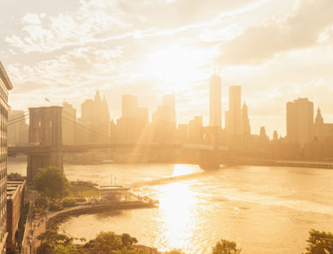 The COVID-Era NYC Guide