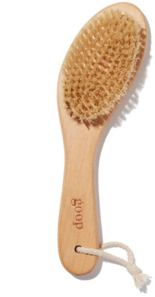 Goop Beauty dry brush