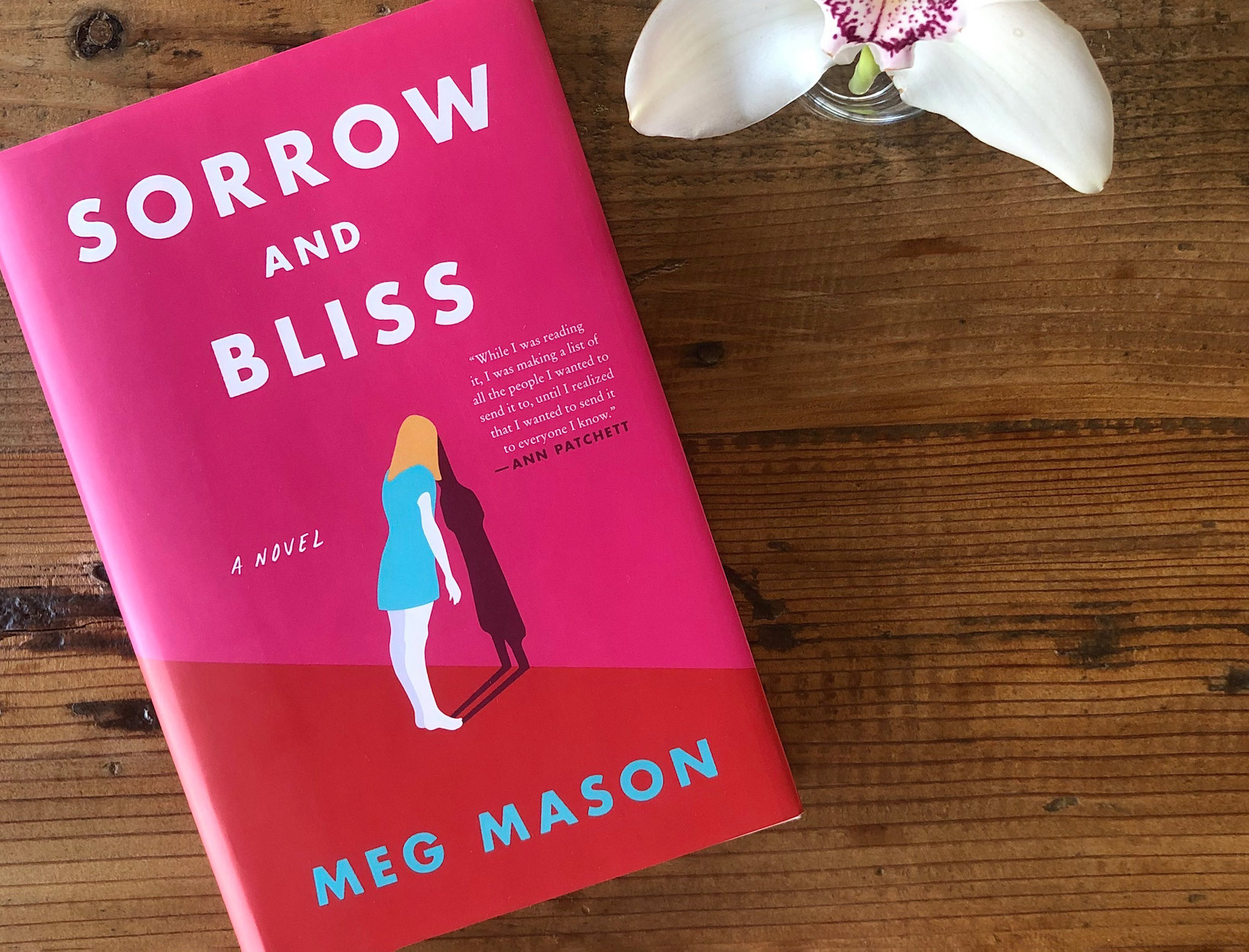 reviews of sorrow and bliss