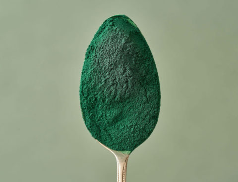 Ask Gerda: What’s the Deal with Spirulina, Chlorella, and Chlorophyll?