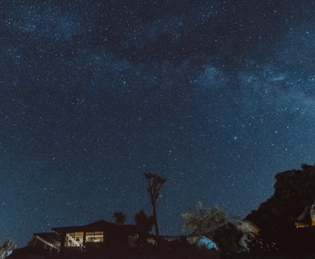 Joshua Tree Night Sky