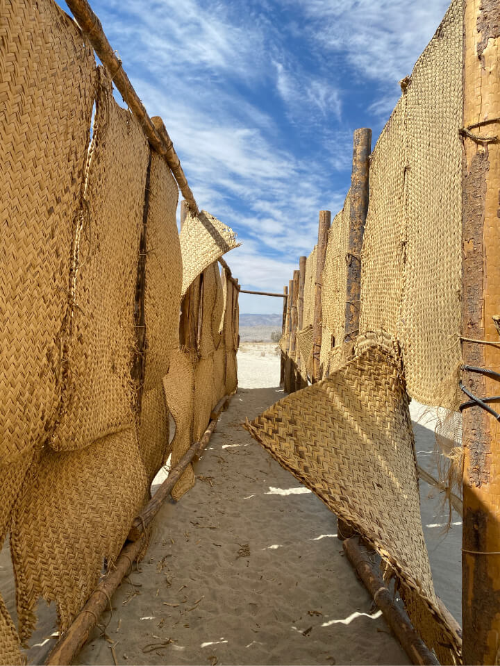 desert scene