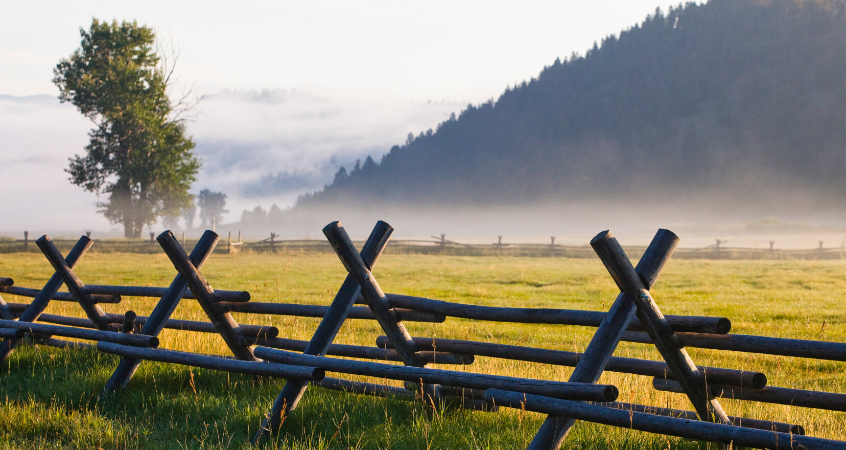 prarie with fence