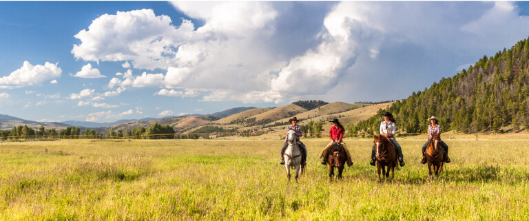 people riding horses