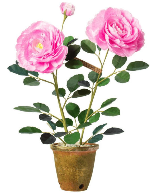 Rose Green Vase Floribunda, goop, 565 USD