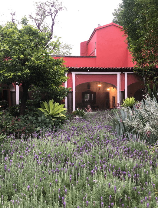 Casa de Sierra Nevada garden