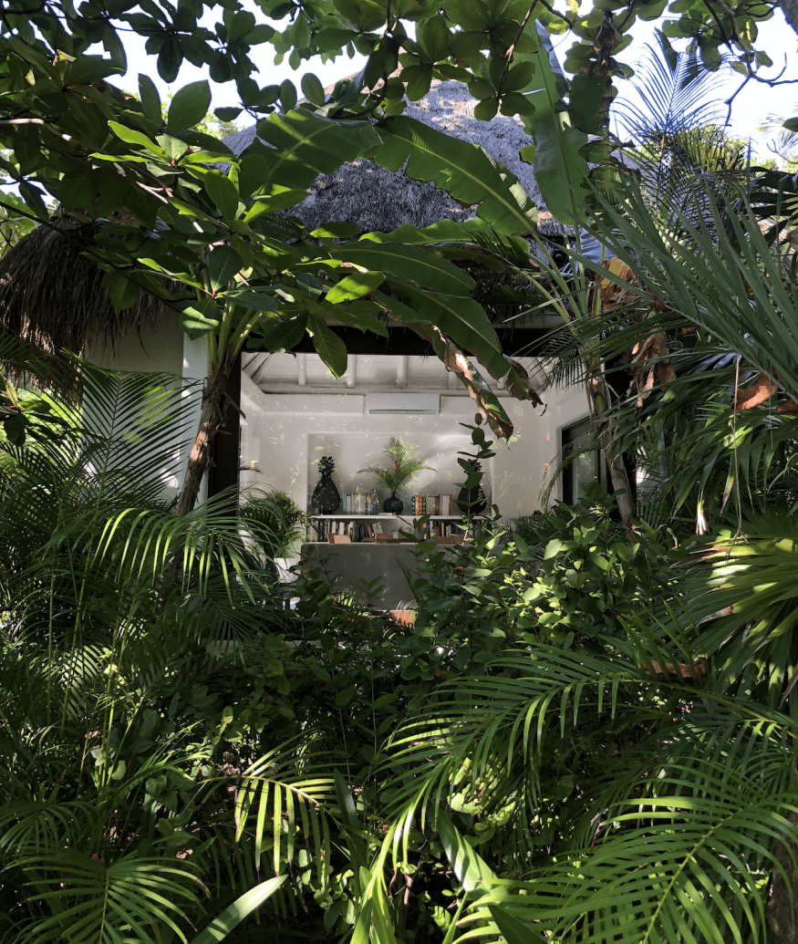 Hotel Esencia trees