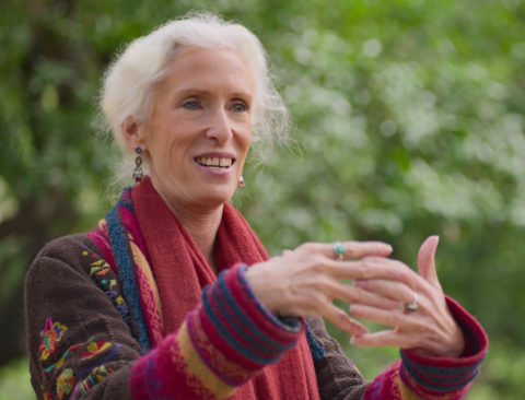 Behind the Scenes: Family Constellations on Netflix’s Sex, Love & goop