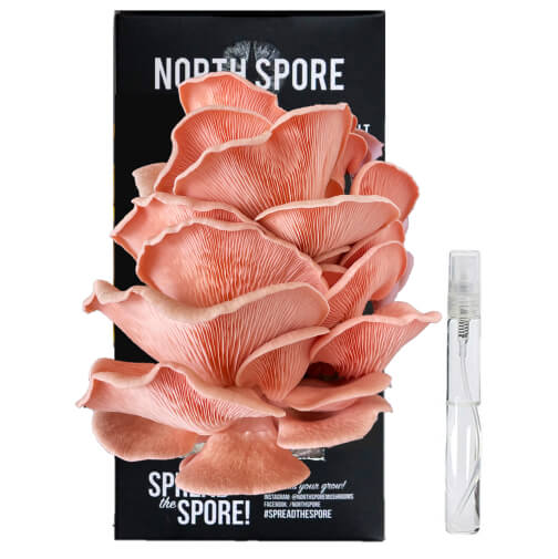 Nearby Naturals Pink Oyster Mushroom Grow Kit