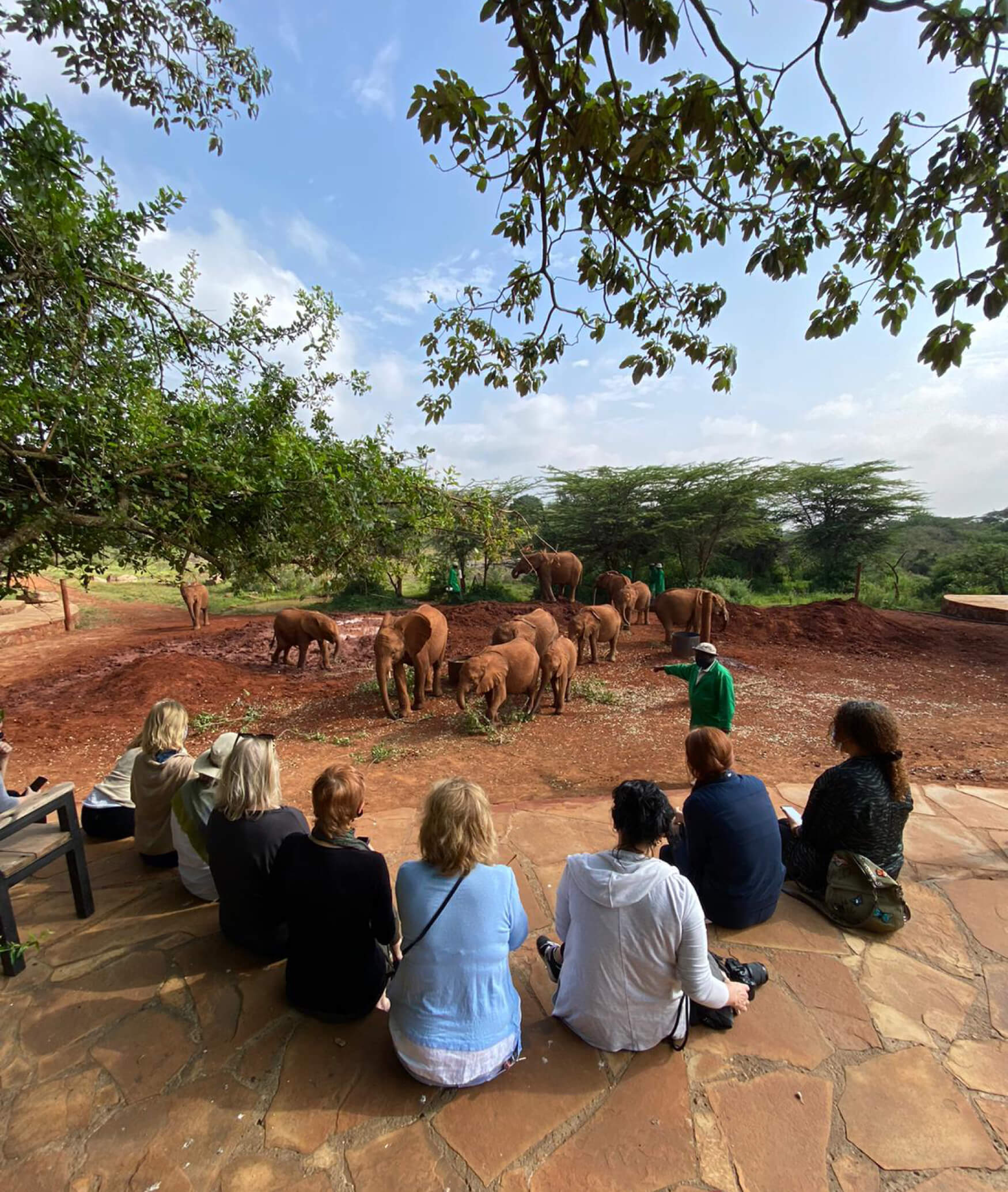 group observing animals