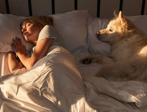 Things That Help You to Sleep—and Keep You Asleep