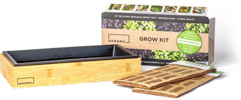 Hamama Microgreen Starter Kit + Bamboo Frame, goop, $79
