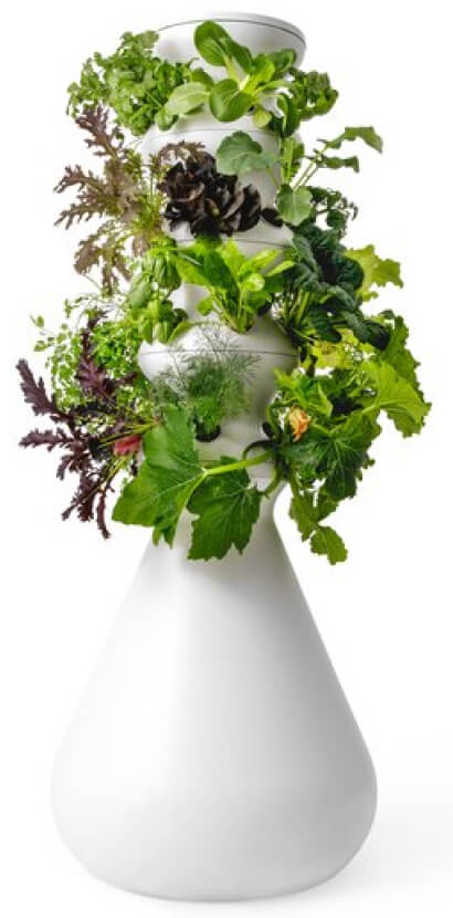 Lettuce Grow The Farmstand goop, $547