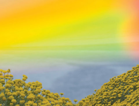 Shortcuts to Quiet the Mind and Cultivate Clarity