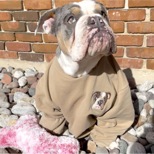 Pupsential Custom embroidered dog portrait sweatshirt