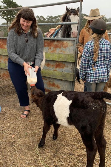 feeding a baby calf