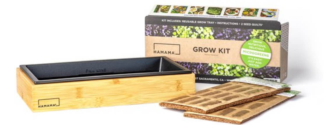 Hamama Microgreen Starter Kit + Bamboo Frame