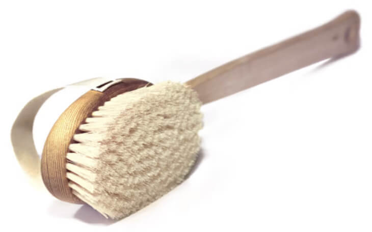 The Organic Pharmacy Skin Brush, goop, $25