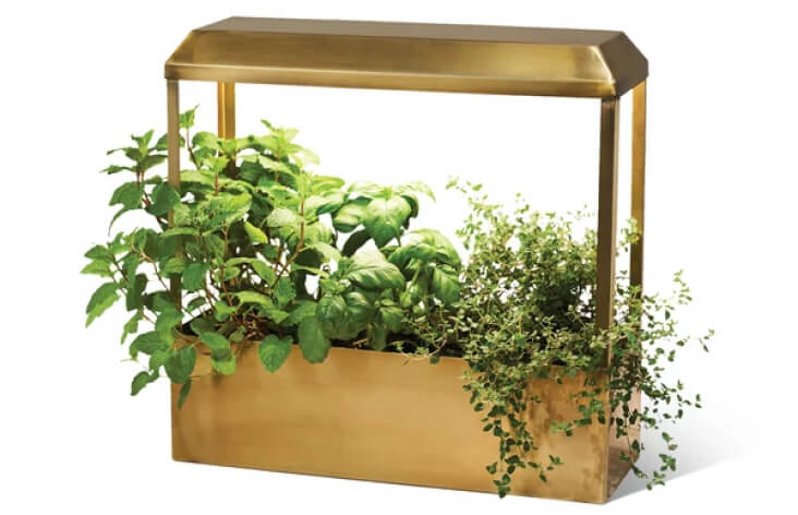 Modern Sprout Smart Growhouse, goop, $ 239