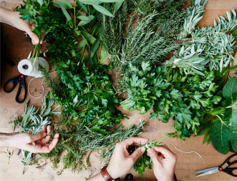 6 Functional Herbs to Grow and Use at Home