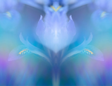 How to Get Sexually Creative, according to 6 Experts