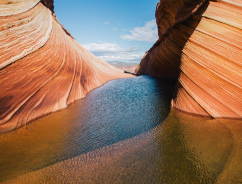 How Do the Four Elements—Fire, Earth, Air, and Water—Define You?