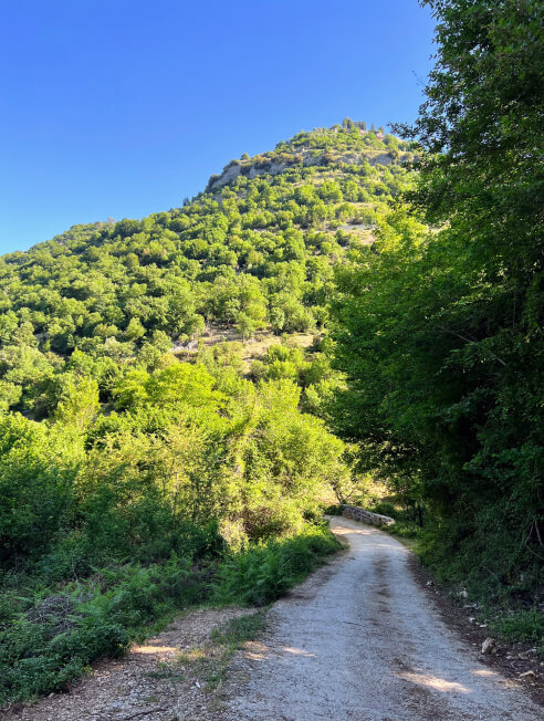 hiking trail