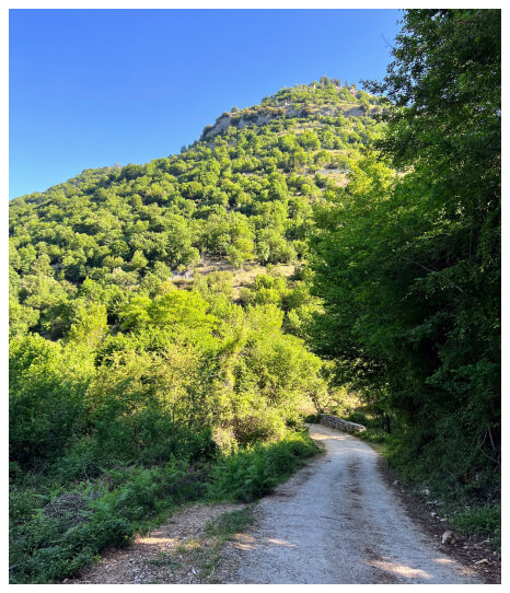 hiking trail