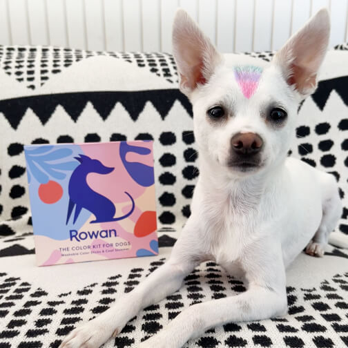 Rowan Hair Color Kit for Dogs Rowan, $50