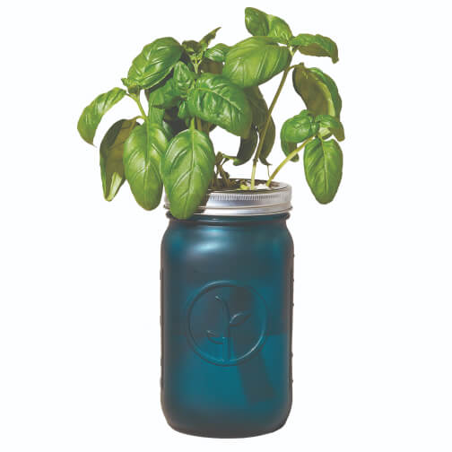 Modern Sprout Garden Jar – Basil