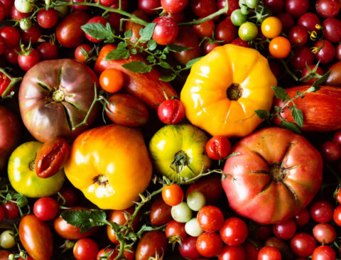 Do Nightshade Vegetables Cause Inflammation?