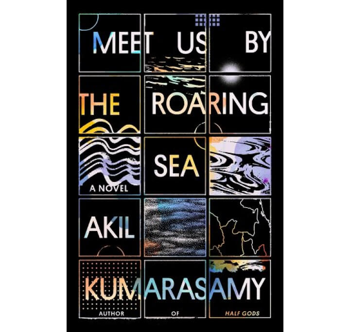 Meet Us by the Roaring Sea book