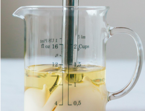 Paleo Homemade Mayo
