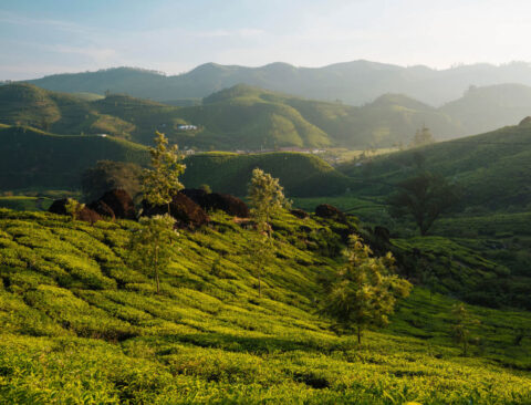 9 Luxury Brands Setting High Standards for Sustainability