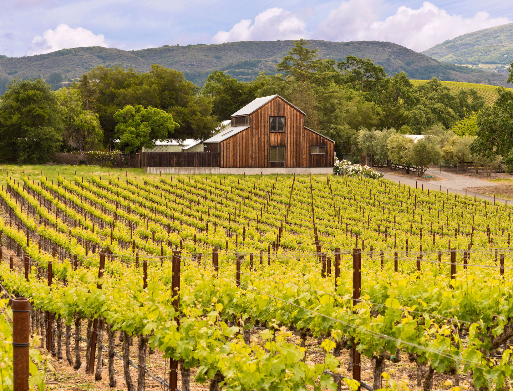 How to Do Napa and Sonoma in 2 Days goop