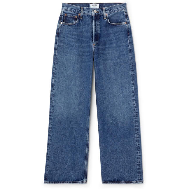 agolde Low-Slung Baggy Jeans