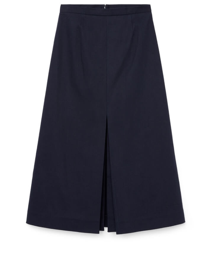 g. statement   Howton A-Line Pleat-Front Skirt